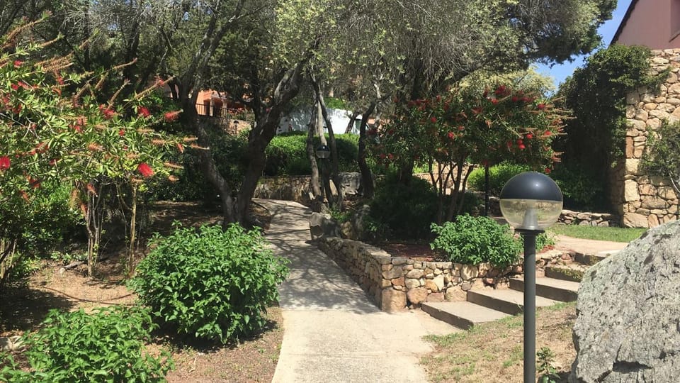 Garden, Garden view