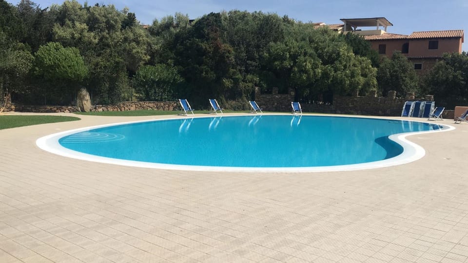 Pool view, Swimming pool, sunbed