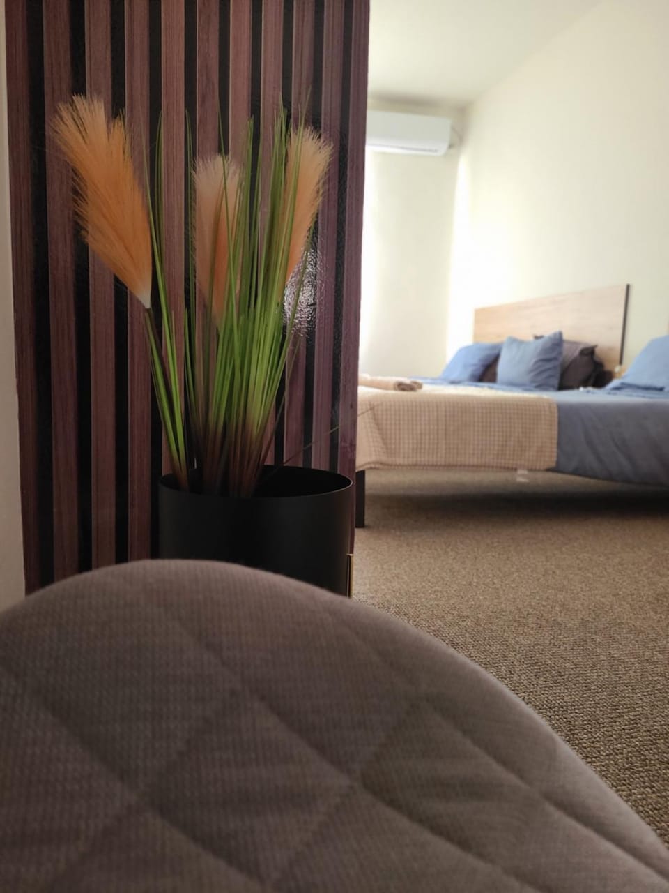 Stari Zaječar apartments Apartment in Serbia