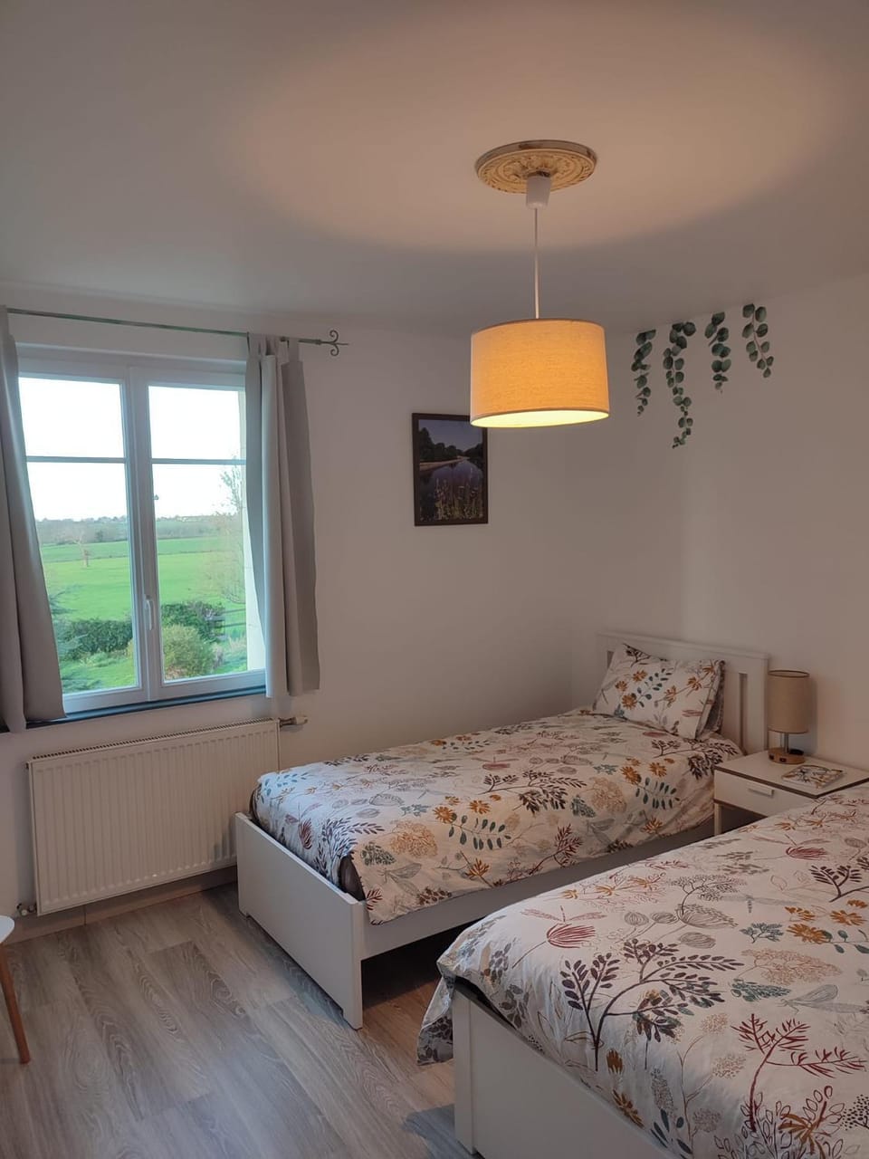 Photo of the whole room
