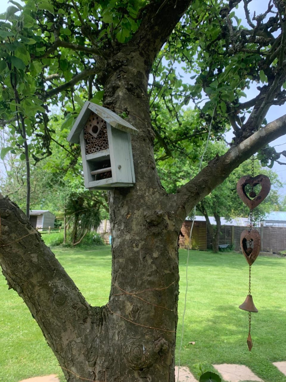 Little Banks Cabin Cabin in Ringwood