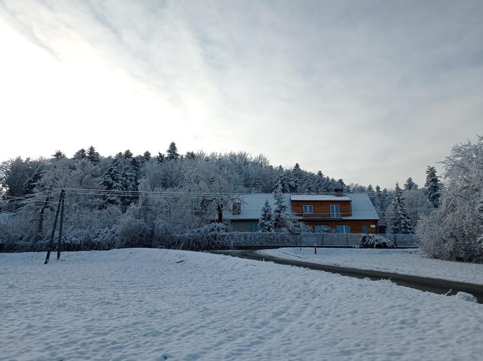 Property building, Winter