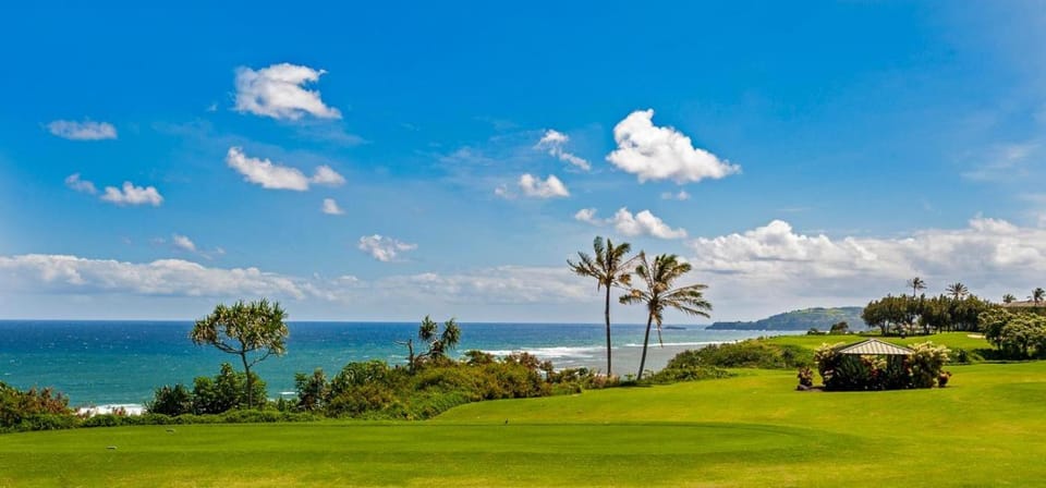 Kamahana 24 House in Princeville