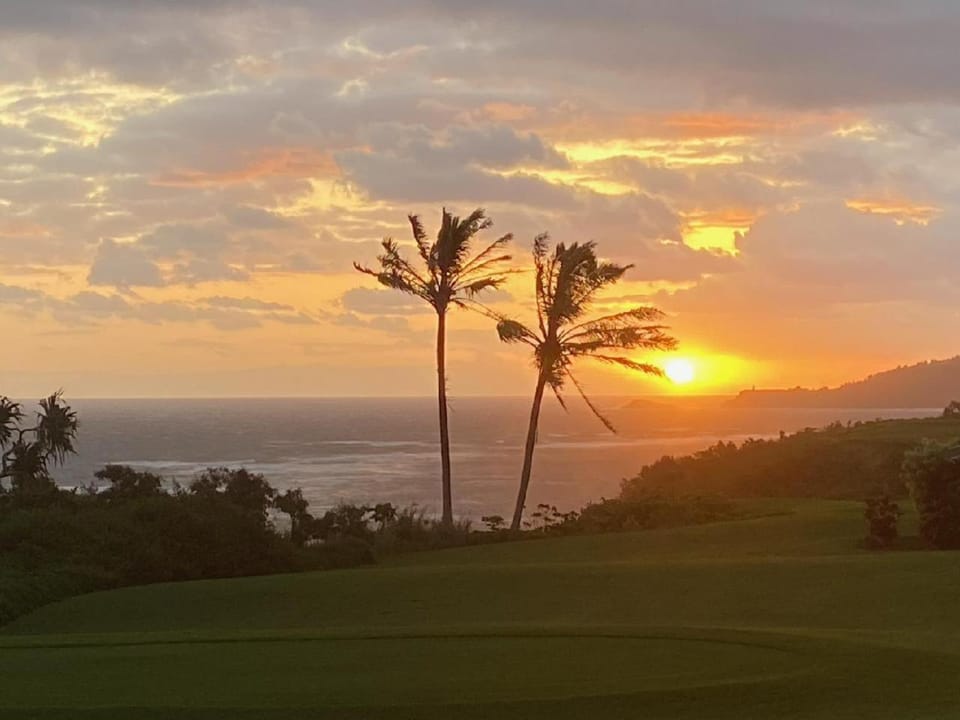 Kamahana 24 House in Princeville