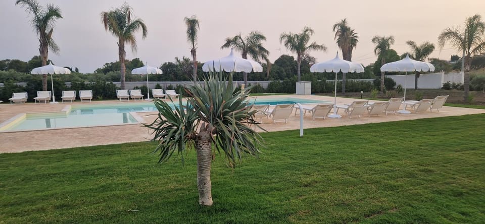 Natural landscape, Garden, Garden view, Pool view, Swimming pool, sunbed