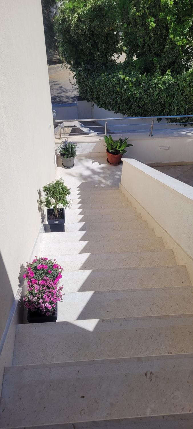 Apartments Riljic Apartment in Hvar