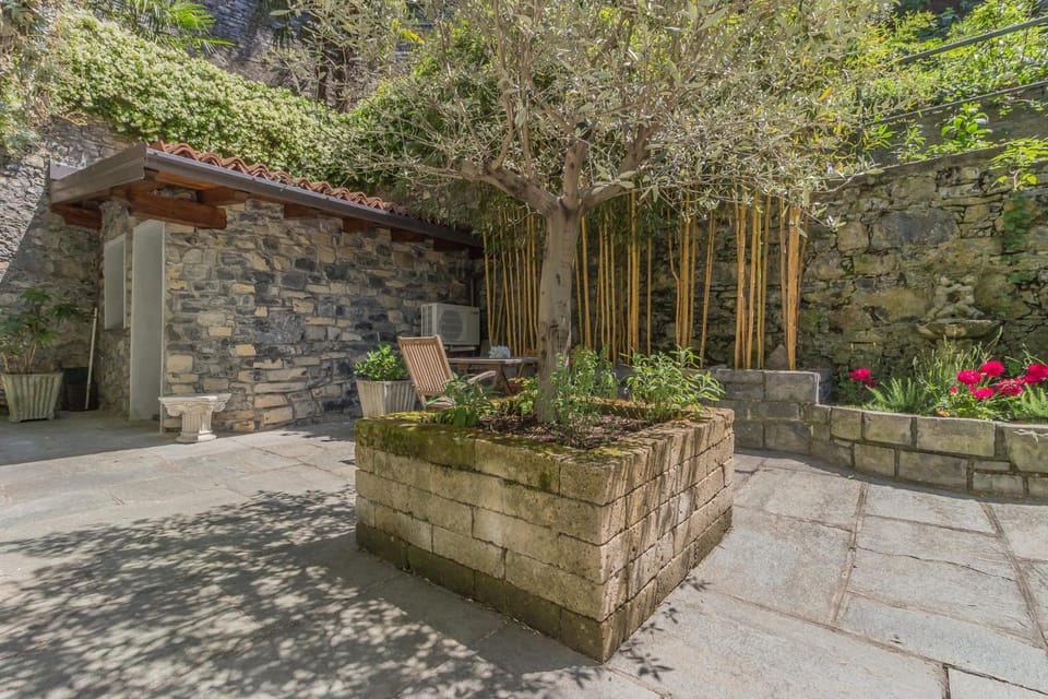 Patio, Garden, Garden view