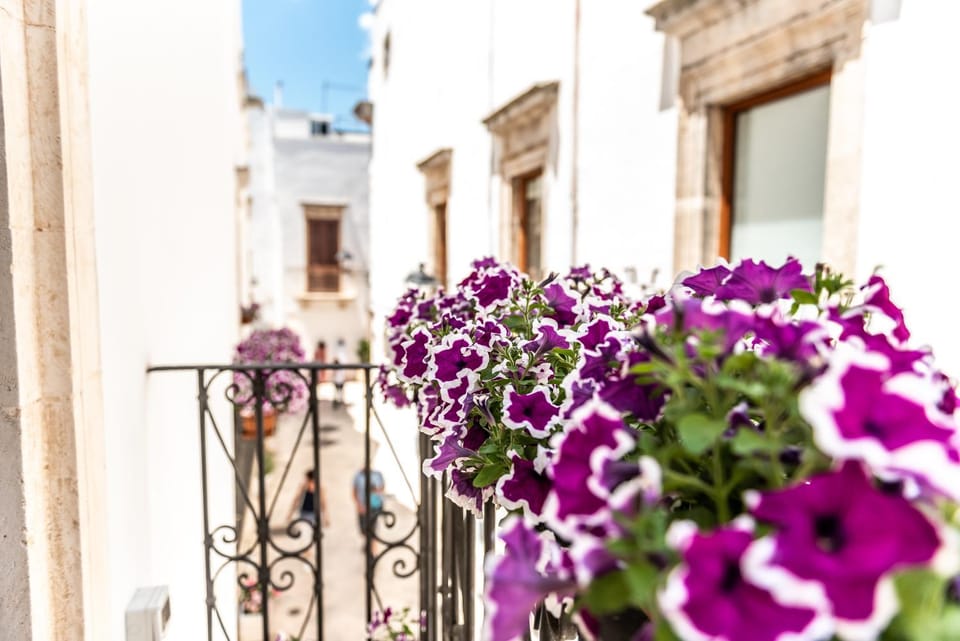 Balcony/Terrace, Balcony/Terrace