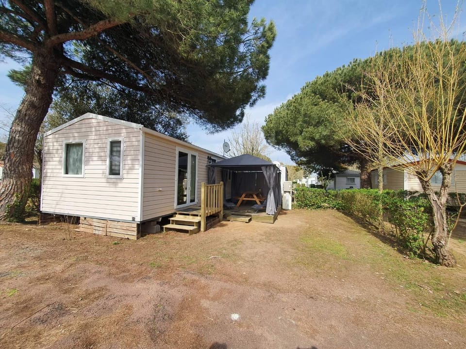 Property building, Patio, Garden, Garden view