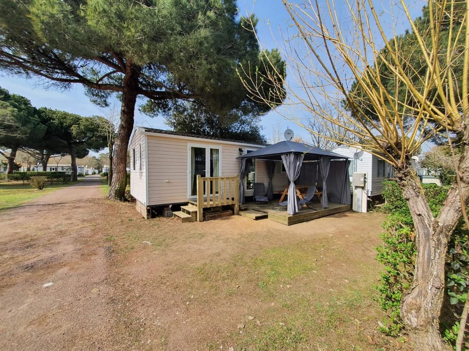 Property building, Patio, Garden, Garden view