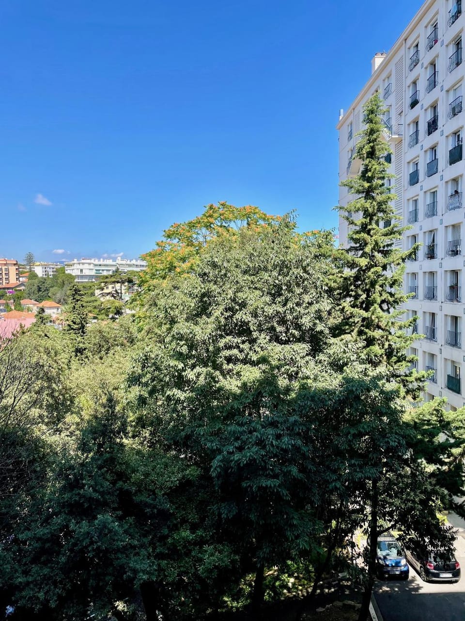Day, Neighbourhood, Street view, Location