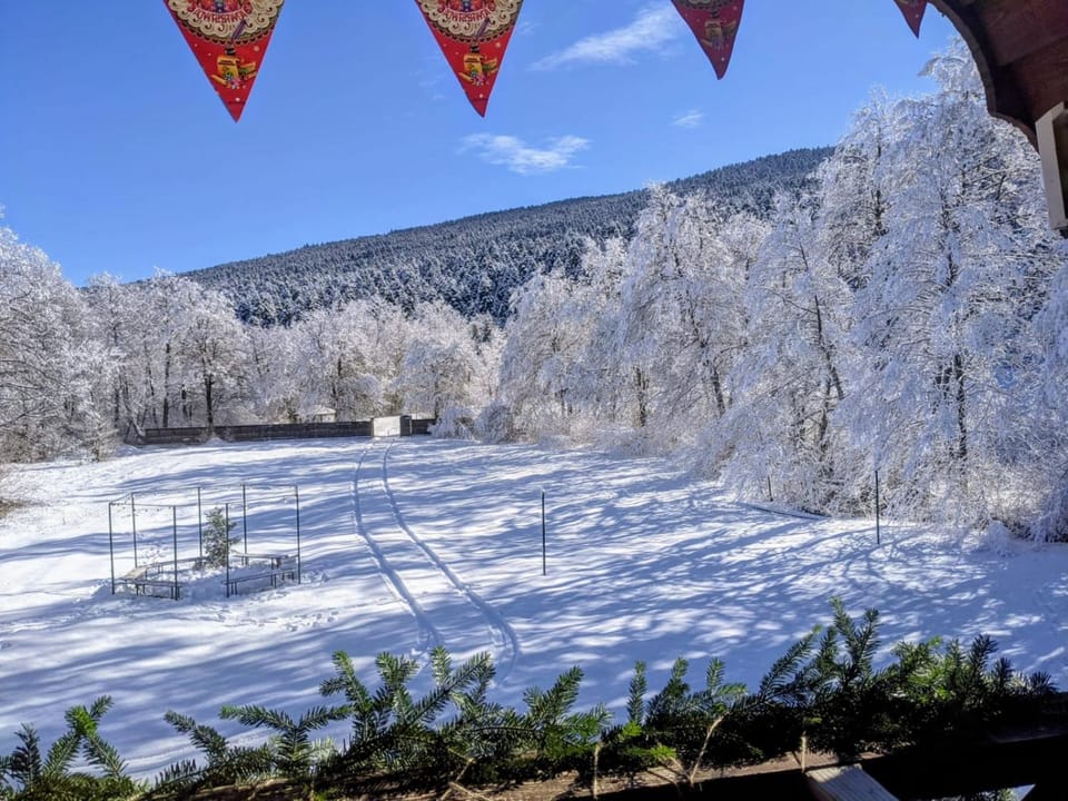 Natural landscape, Winter