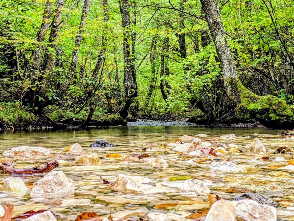 Nearby landmark, Natural landscape, River view