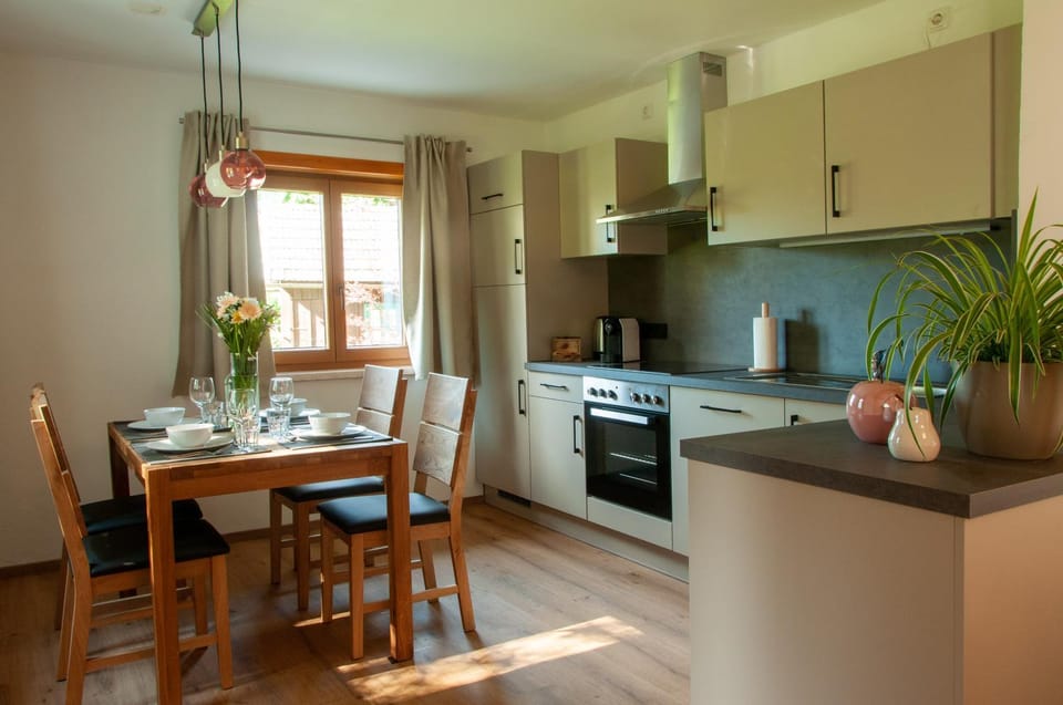 Kitchen or kitchenette, kitchen