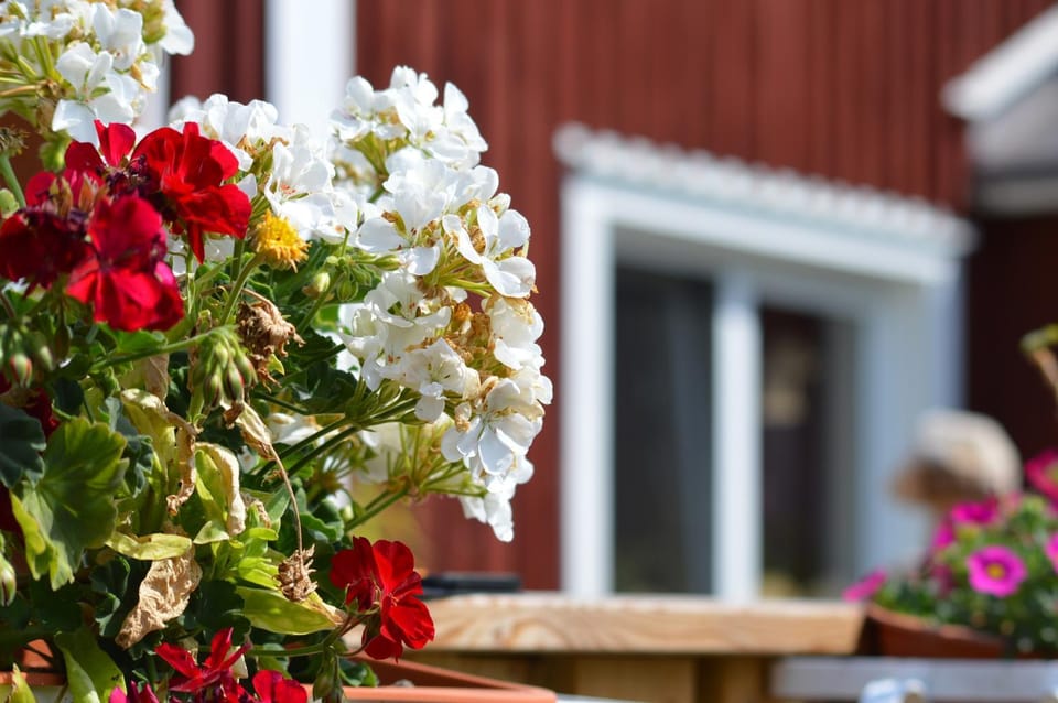 Bodasjön Apartment in Kalmar County, Sweden
