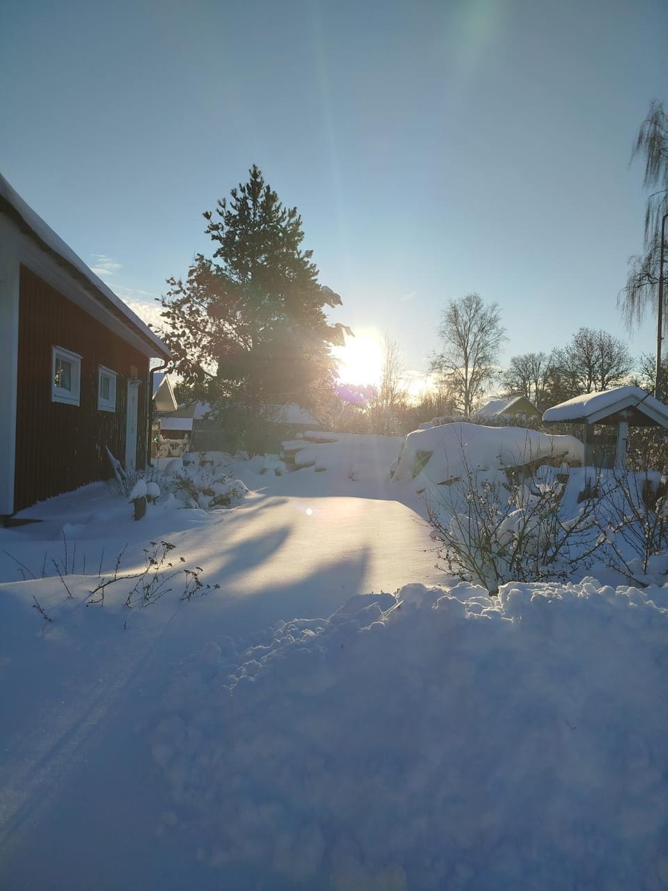Winter