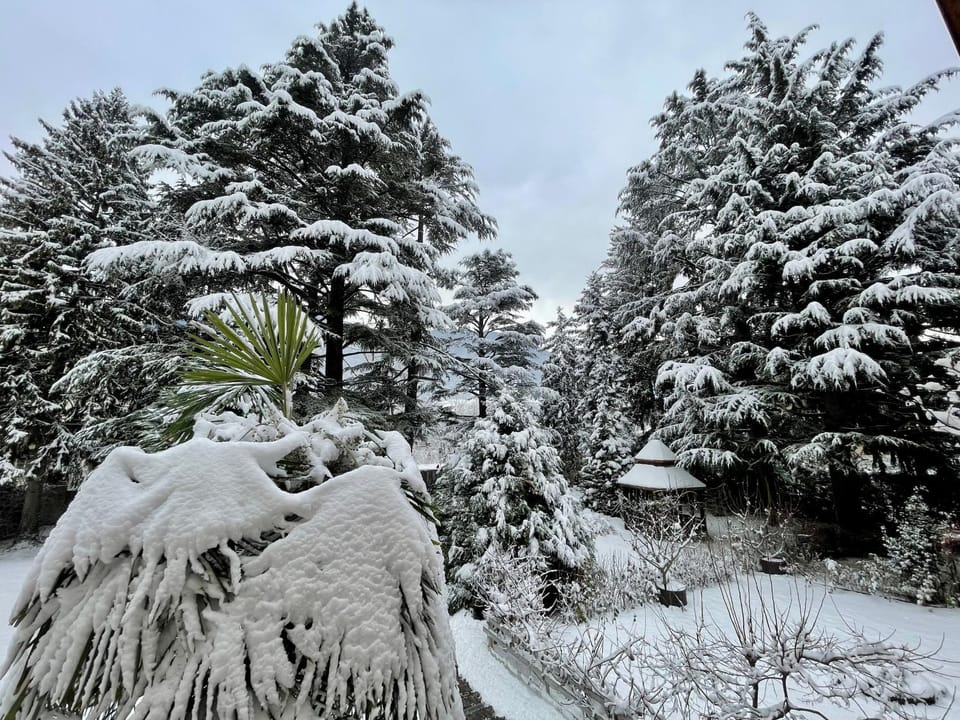 App. Franziska Villa Fabbrani Apartment in Brixen