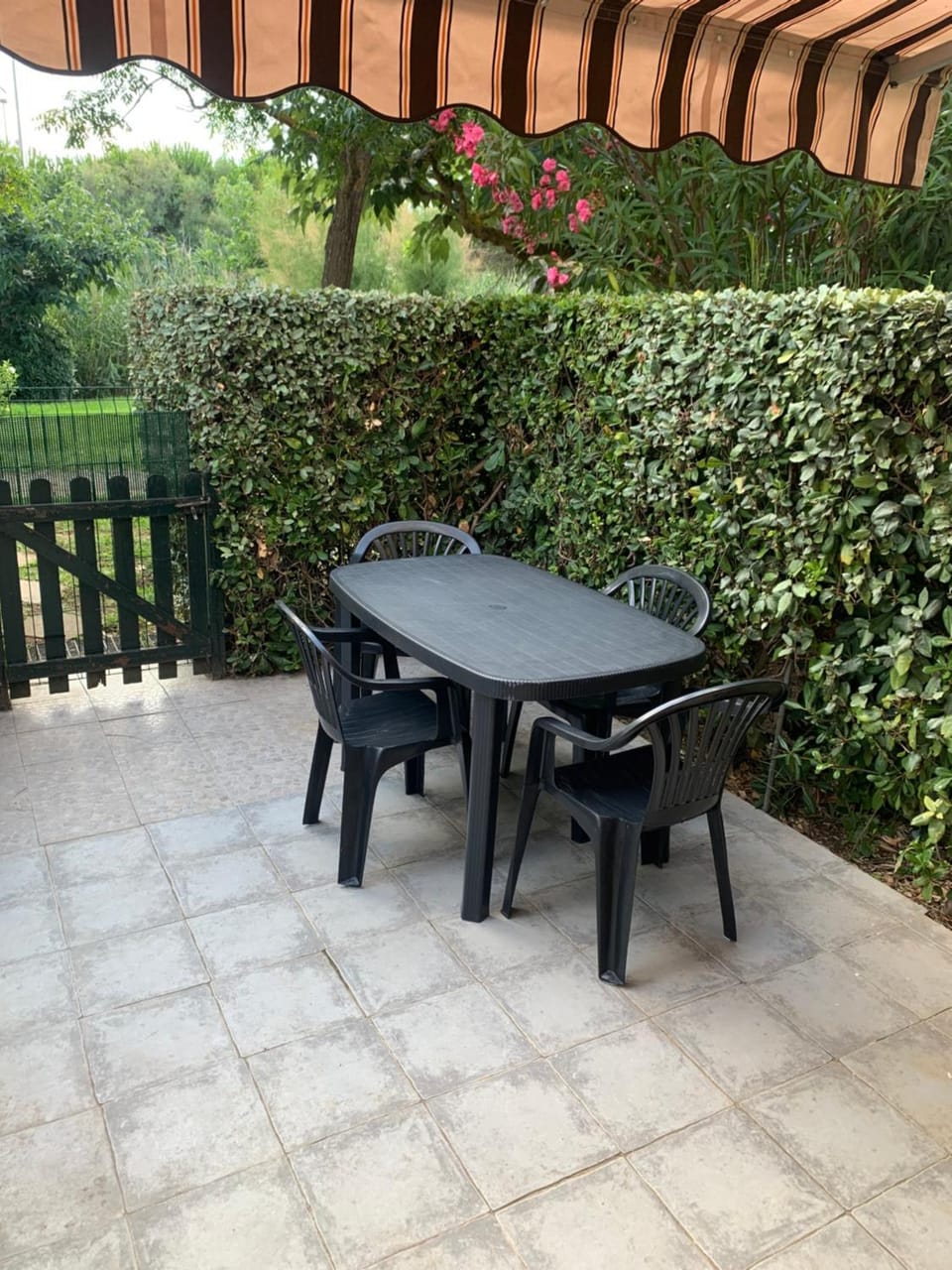 Garden, Balcony/Terrace
