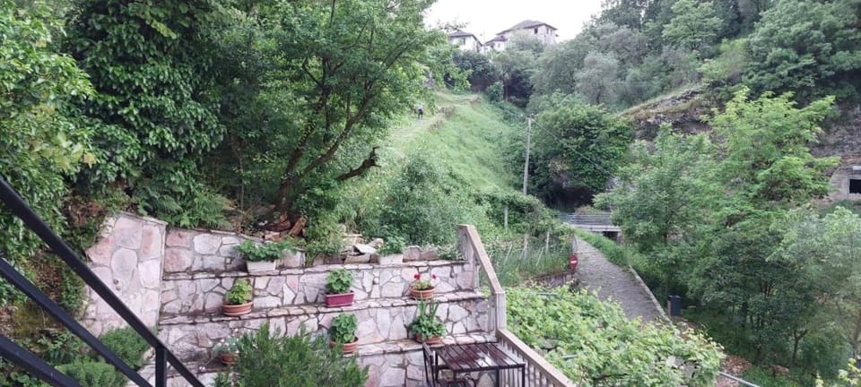 Natural landscape, Garden, Garden view