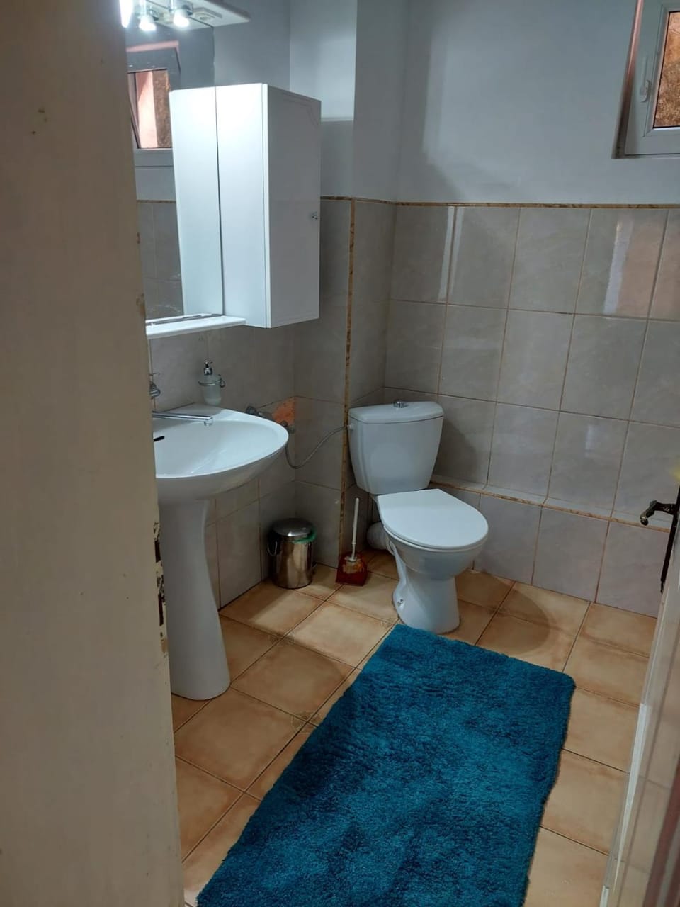 Pensiunea Irina Bed and Breakfast in Romania