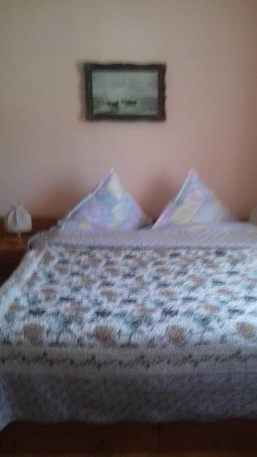 Pensiunea Irina Bed and Breakfast in Romania