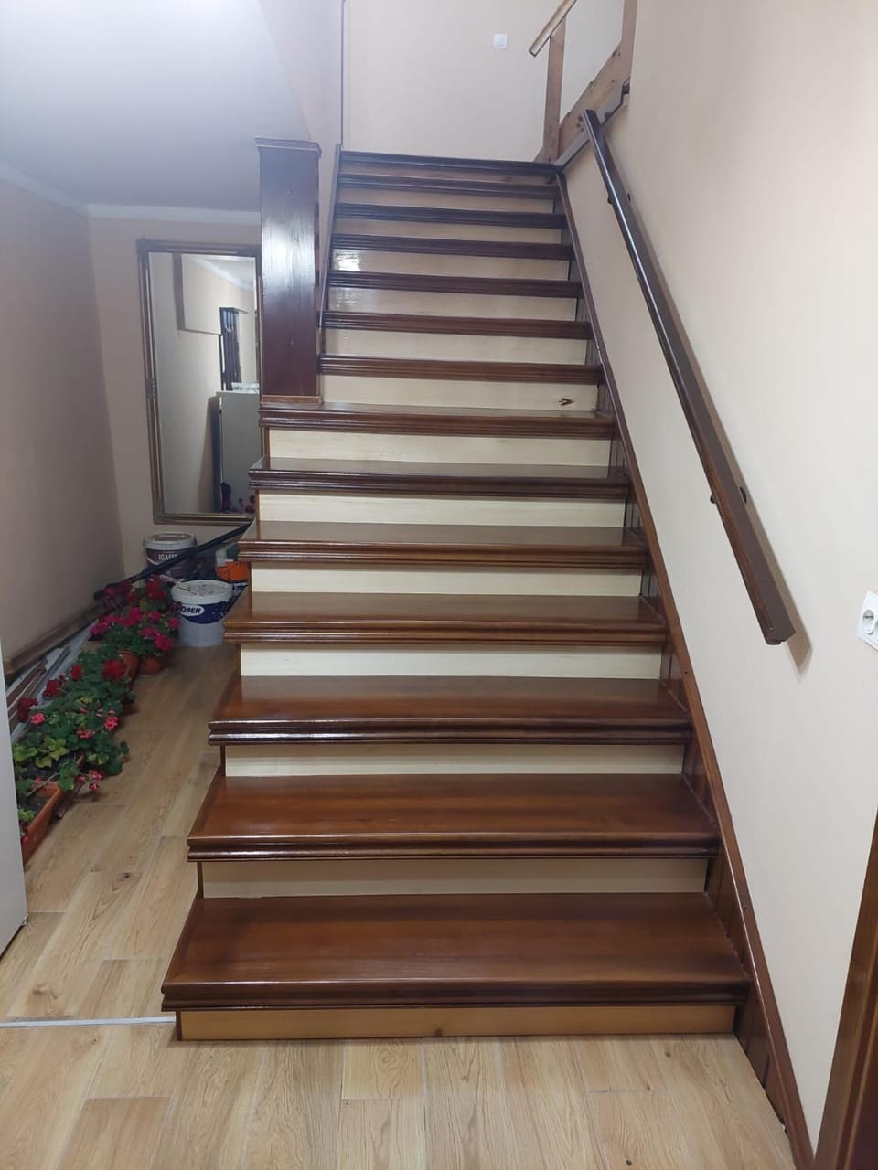 Pensiunea Irina Bed and Breakfast in Romania