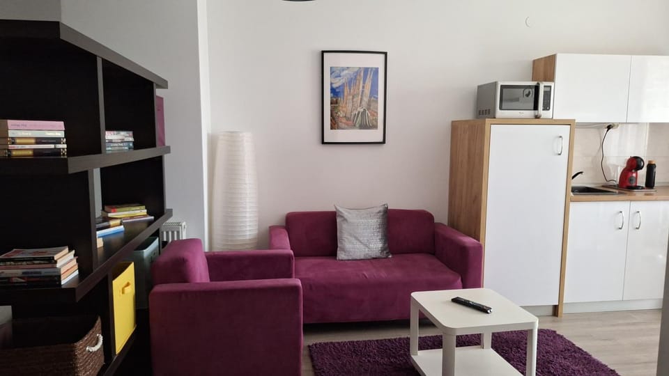 Studio 28 - 1 camera Lazăr Residence ultracentral Apartment in Moldova