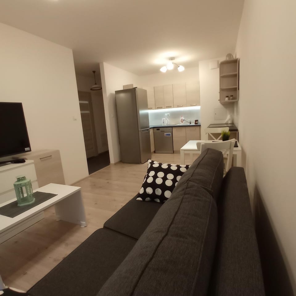 Apartament Ruczaj 2 Apartment in Poland