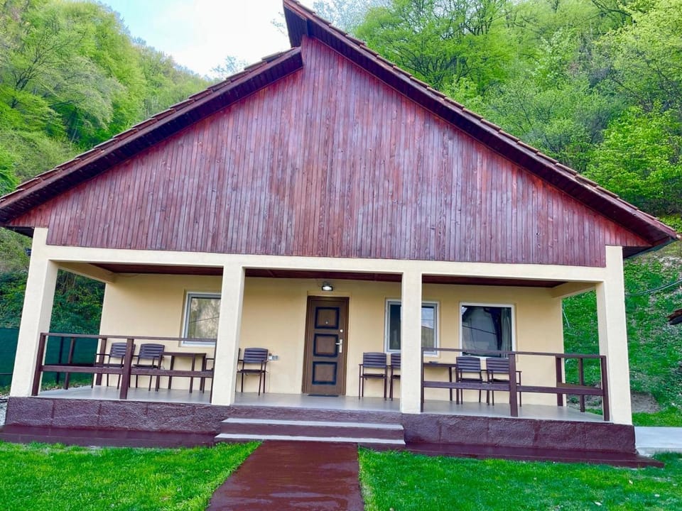 La Cico 1 House in Romania