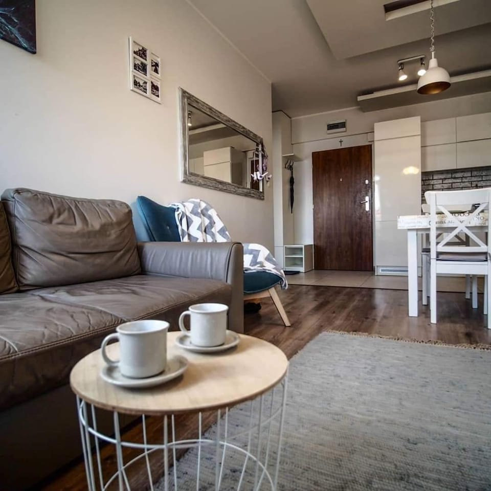 Sweet Nest Apartment Apartment in Lithuania