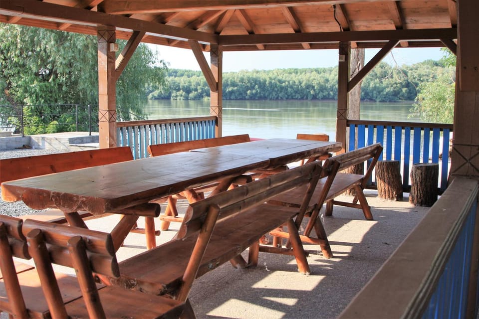 Patio, Lounge or bar, Dining area