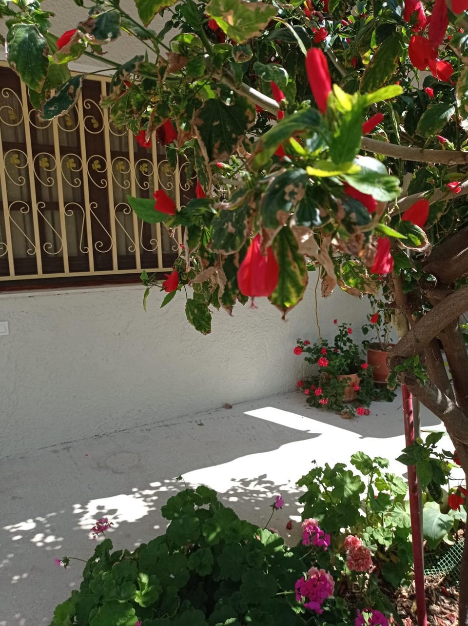 Patio, Balcony/Terrace