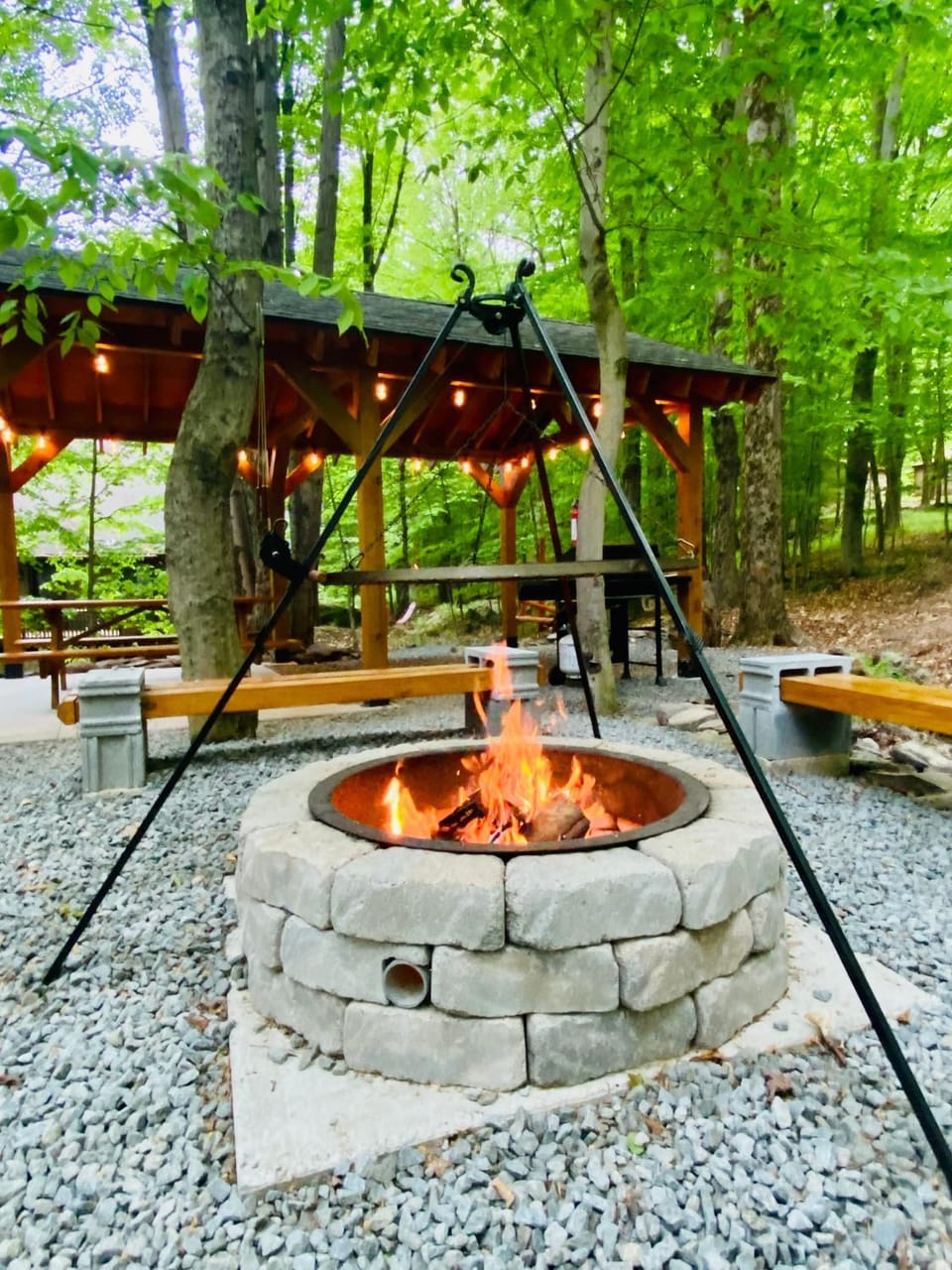 Natural landscape, BBQ facilities, Garden view