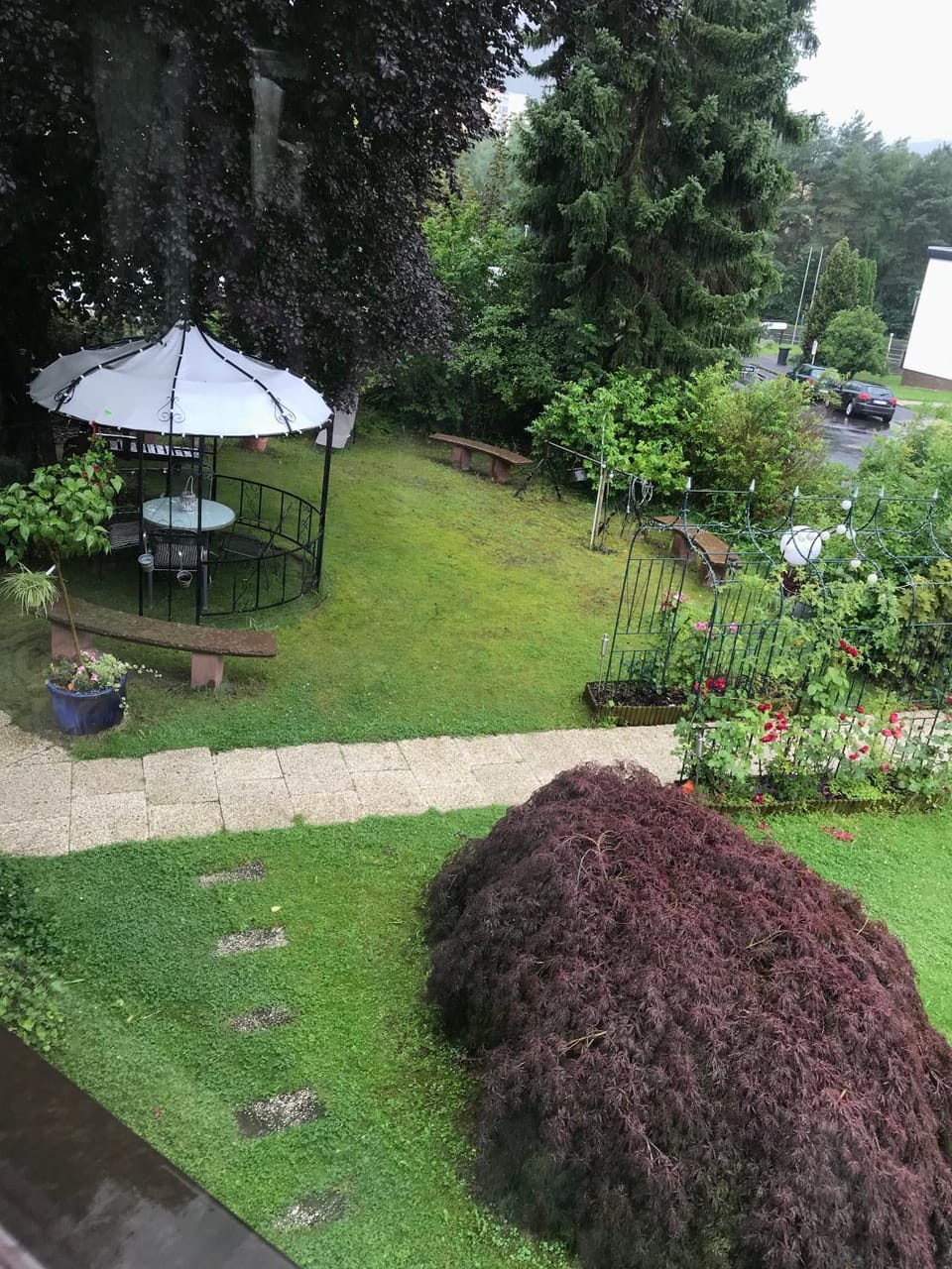 Garden view