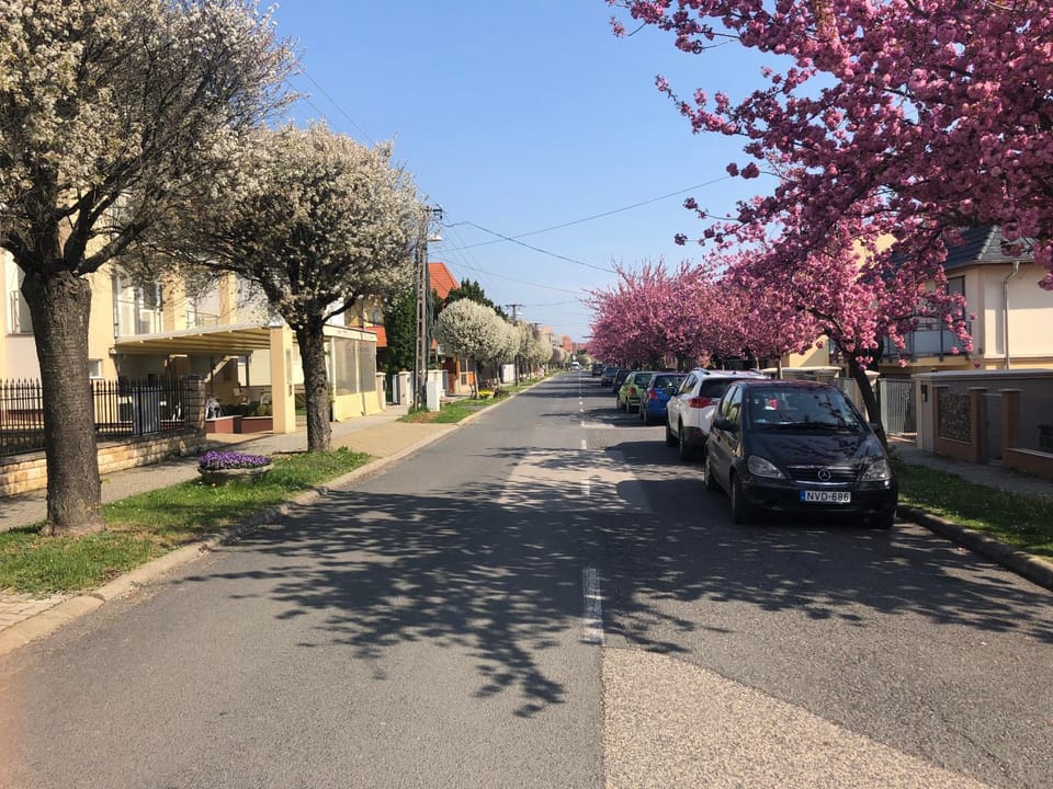Neighbourhood, Area and facilities