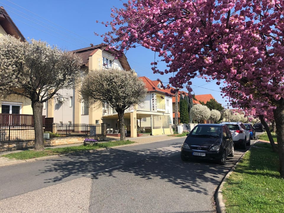 Property building, Neighbourhood