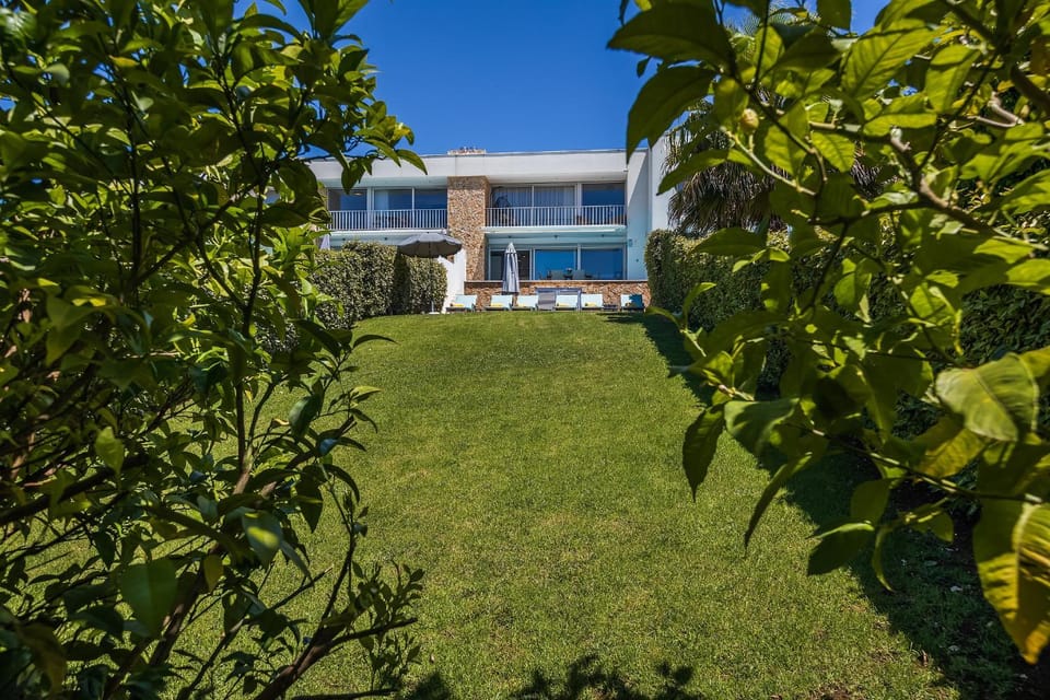 Patio, Garden, Garden view