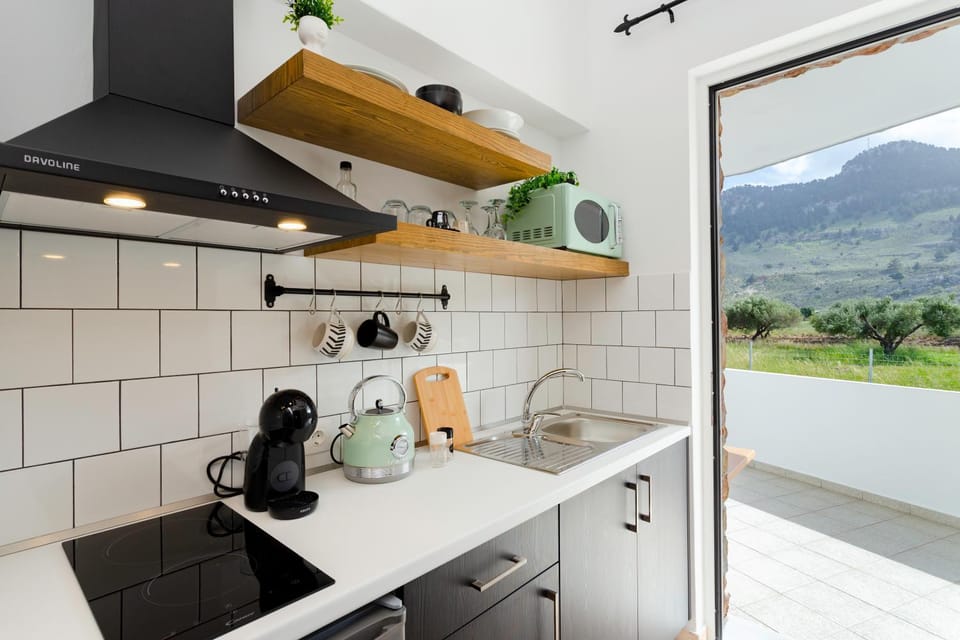 Natural landscape, Coffee/tea facilities, Kitchen or kitchenette, minibar, stove, toaster