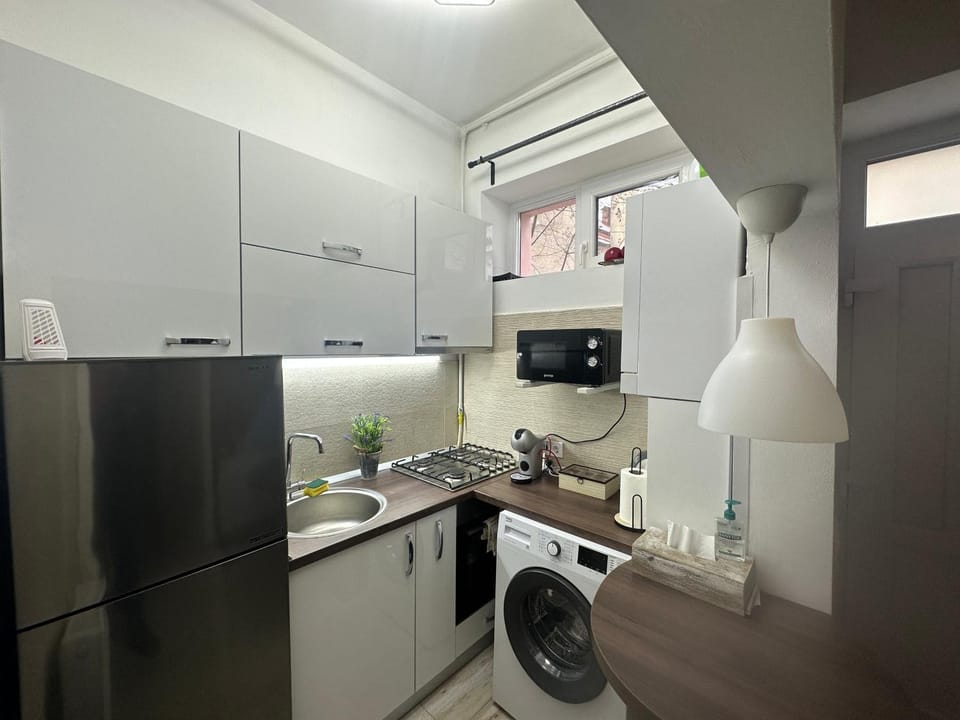 Kitchen or kitchenette, minibar, pet friendly, washing machine, dryer