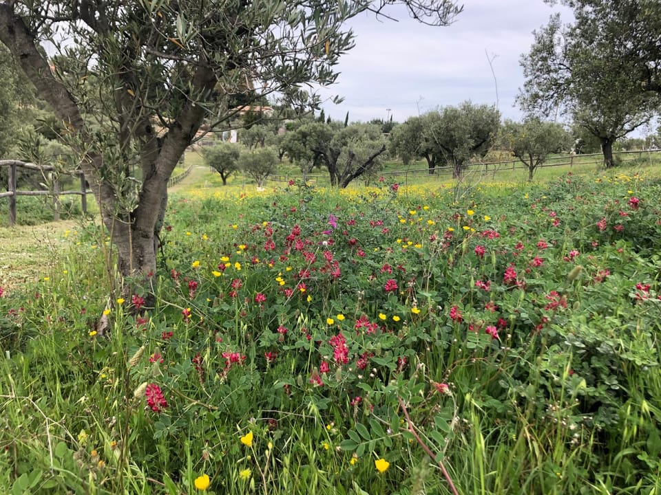 Agriturismo DonnoMarco Farm Stay in Calabria
