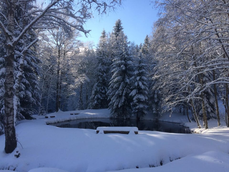 Nearby landmark, Neighbourhood, Natural landscape