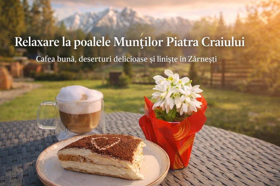 Vila Georgeta Bed and Breakfast in Brașov County