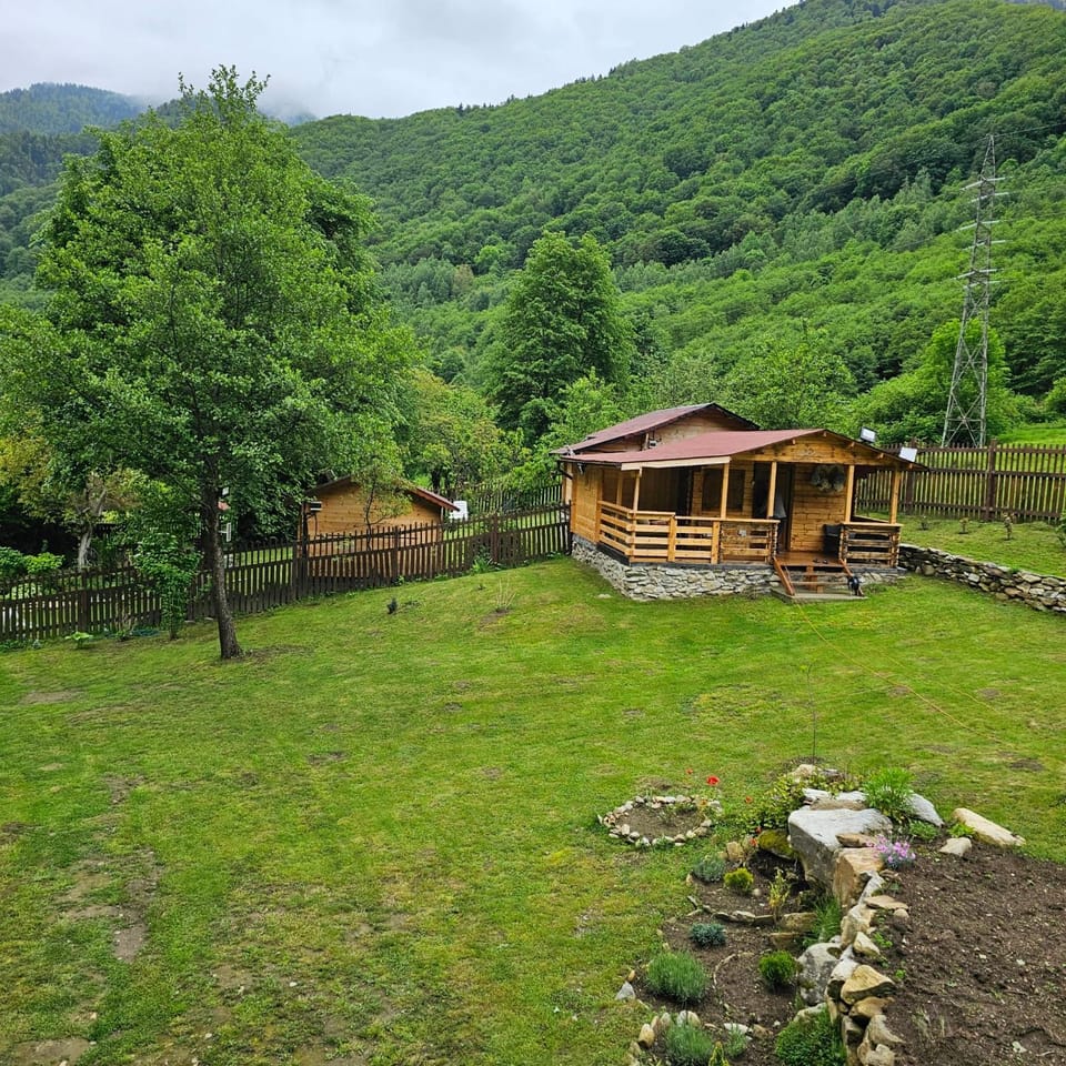Bit Of Paradise House in Serbia