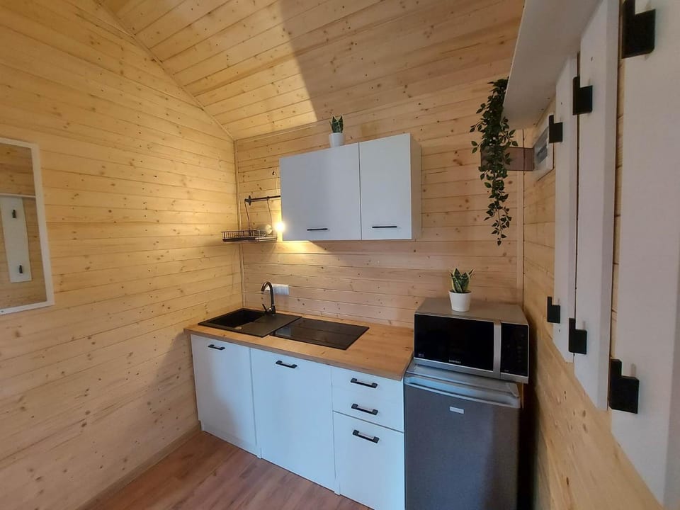 Kitchen or kitchenette, minibar, stove