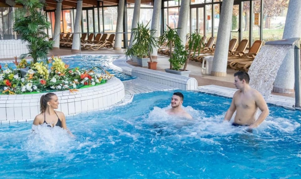 Spa and wellness centre/facilities, Swimming pool