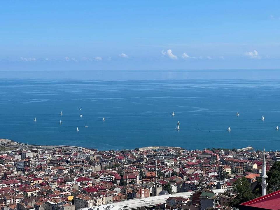 City view, Sea view