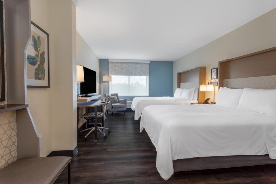 Bed, TV and multimedia, Photo of the whole room