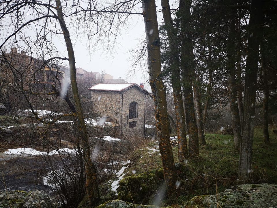 Property building, Winter, Garden
