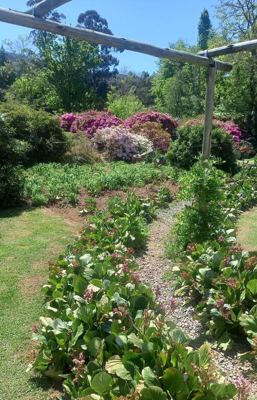 Garden, Garden view