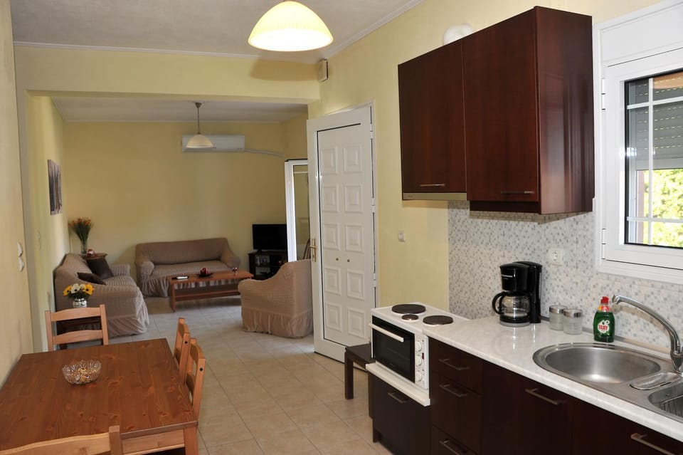 TV and multimedia, Kitchen or kitchenette, Living room, Seating area, Dining area, fireplace, minibar, oven, pet friendly, stove, air conditioner